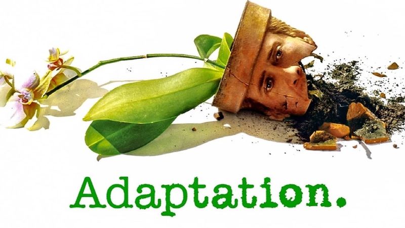 Adaptation. Poster Landscape Image