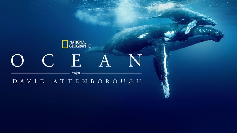 Ocean with David Attenborough Poster Landscape Image