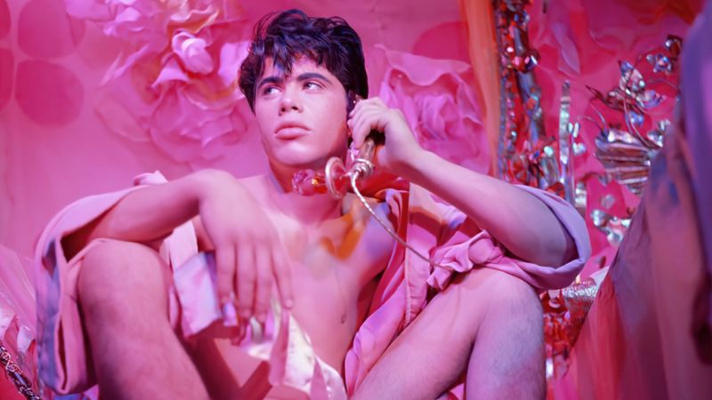 Pink Narcissus Backdrop Image