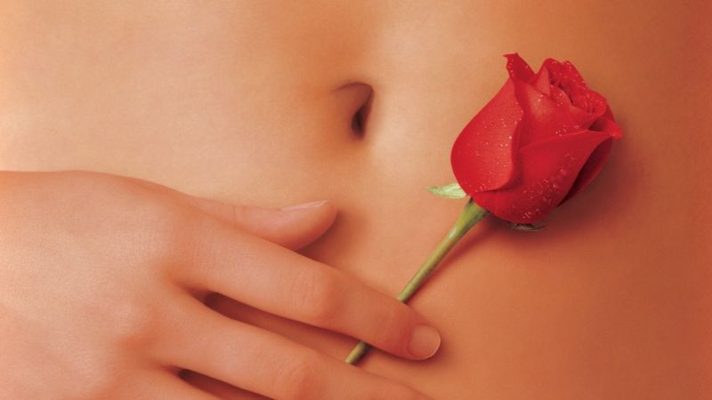American Beauty Backdrop Image
