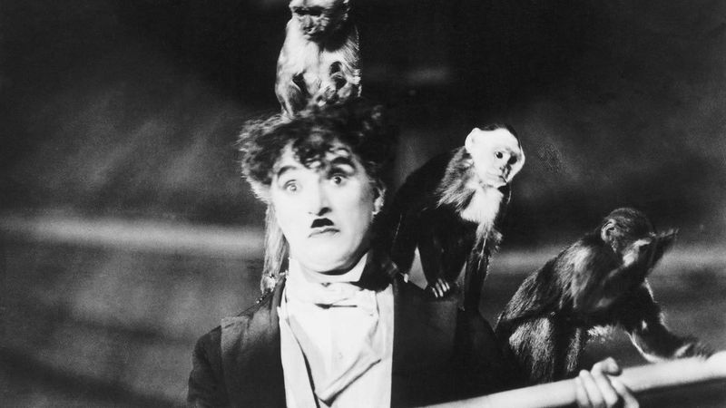 The Circus Backdrop Image