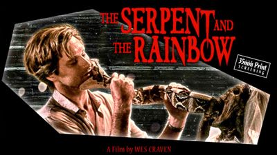 The Serpent and the Rainbow Poster Landscape Image