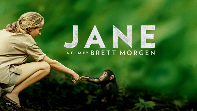 Jane Poster Landscape Image