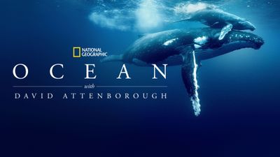 Ocean with David Attenborough Poster Landscape Image