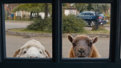 Glennkill: Ein Schafskrimi Poster Landscape Image