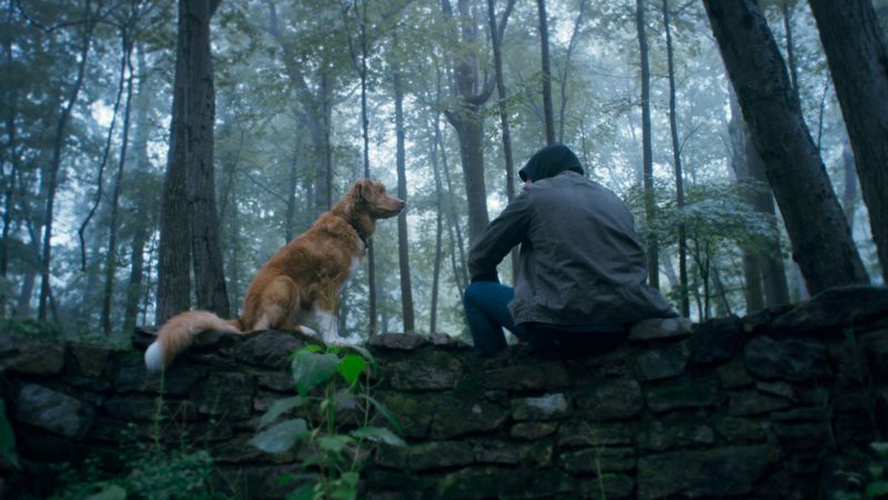 Good Boy Backdrop Image