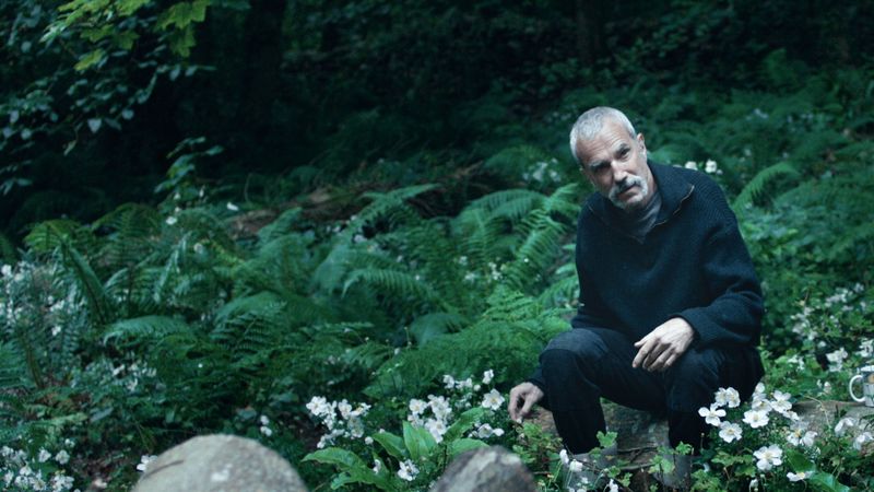 Anemone Backdrop Image