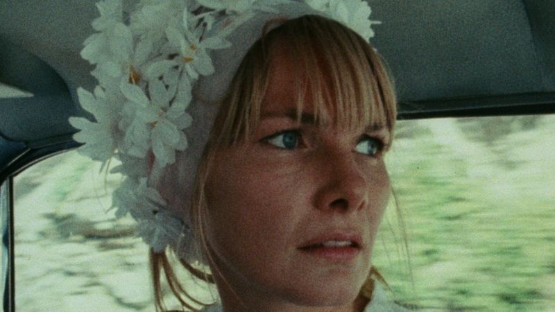 Wanda Poster Landscape Image