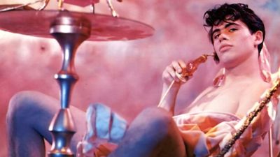 Pink Narcissus Poster Landscape Image