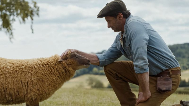 Glennkill: Ein Schafskrimi Backdrop Image