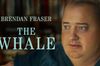 The Whale in English at cinemas in Berlin