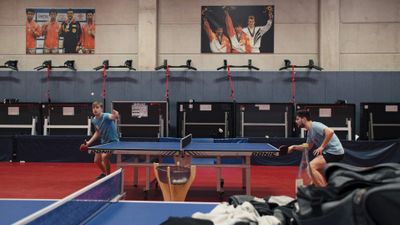 Ping Pong Paradise Poster Landscape Image