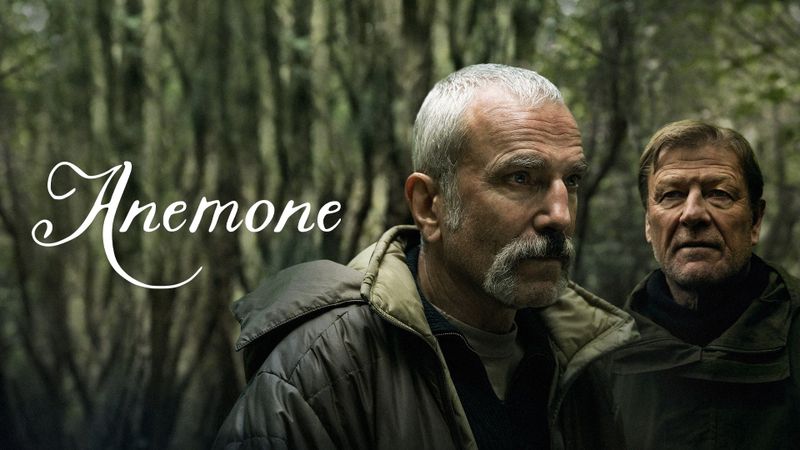 Anemone Poster Landscape Image