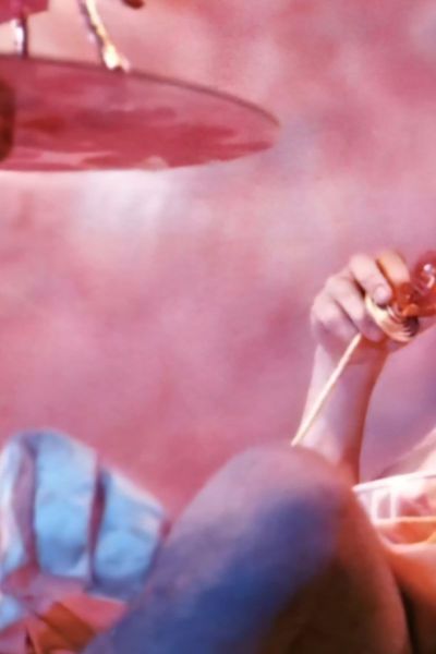 Pink Narcissus Poster Image