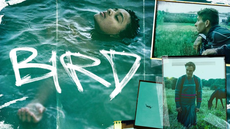 Bird Poster Landscape Image