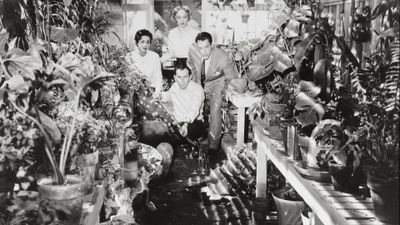 Invasion of the Body Snatchers Poster Landscape Image