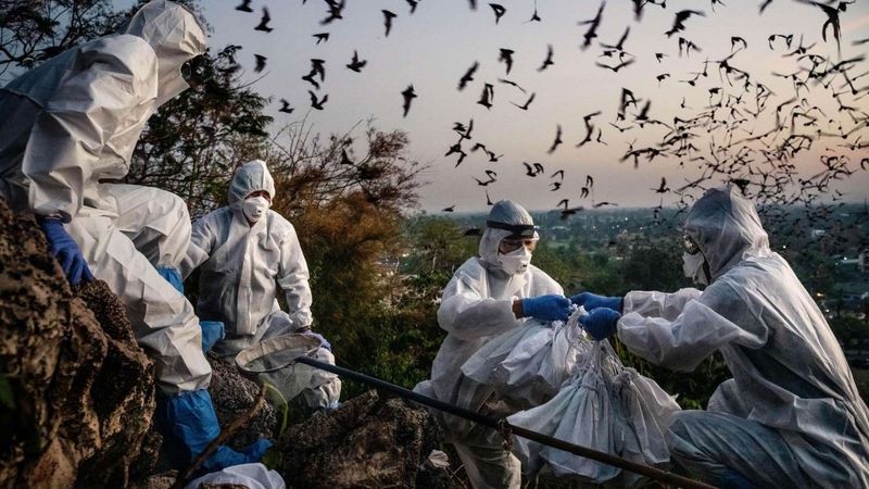 Blame Backdrop Image