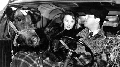 Remember the Night Poster Landscape Image